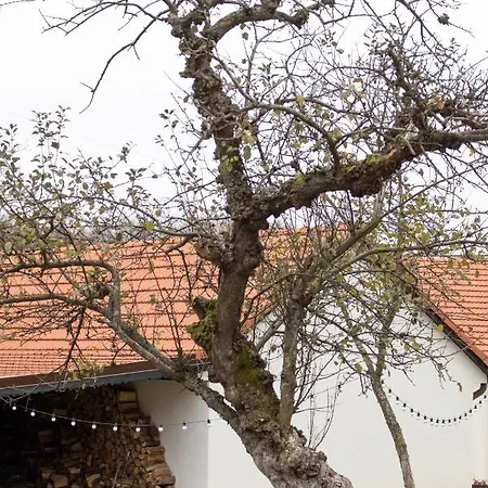 Casa Bunicii Carbunari *
