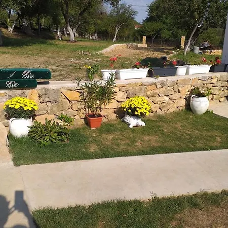 Casa Bunicii Carbunari 팜스테이